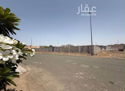 Residential Land for Sale in Albalqa, Madina - Residential land for sale Residential Land for Sale in Albalqa, Madina - Residential land for sale