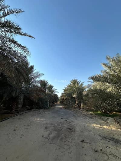 5 Bedroom Farm for Sale in Al Ahsa - Farm for sale in Al-Ahsa Al-Wizeh