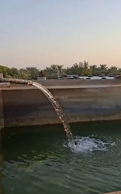 مزرعة 6 غرف نوم للبيع في مزارع العبله، العبله منطقة الرياض - مزرعة للبيع في مزارع العبلاء، منطقة العبلاء بالرياض