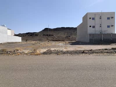 Residential Land for Sale in Sad Al Ghaba, Madina - Residential land for sale in Sad Al Ghaba, Madina Residential Land for Sale in Sad Al Ghaba, Madina - Residential land for sale in Sad Al Ghaba, Madina