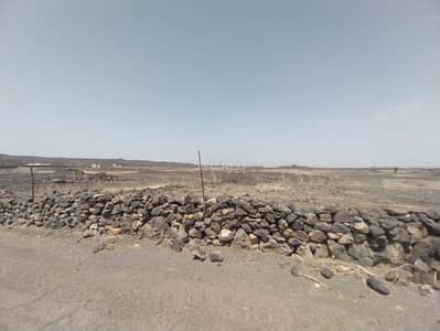 Residential Land for Rent in Wadi Al Battan, Madina - Land for rent in Al-Wadi Al-Batan neighborhood, Medina city, Al-Madinah Region Residential Land for Rent in Wadi Al Battan, Madina - Land for rent in Al-Wadi Al-Batan neighborhood, Medina city, Al-Madinah Region