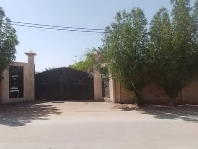 5 Bedroom Farm for Rent in Al Tawfiq, Buraydah Al Qassim Region - A farm for rent on Omar Ibn Al-Khattab Street, Al-Tawfiq District, Buraydah City, Qassim Region