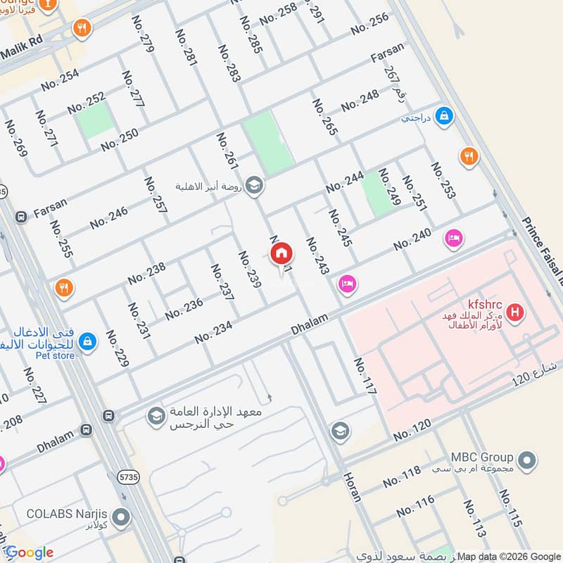 Map image