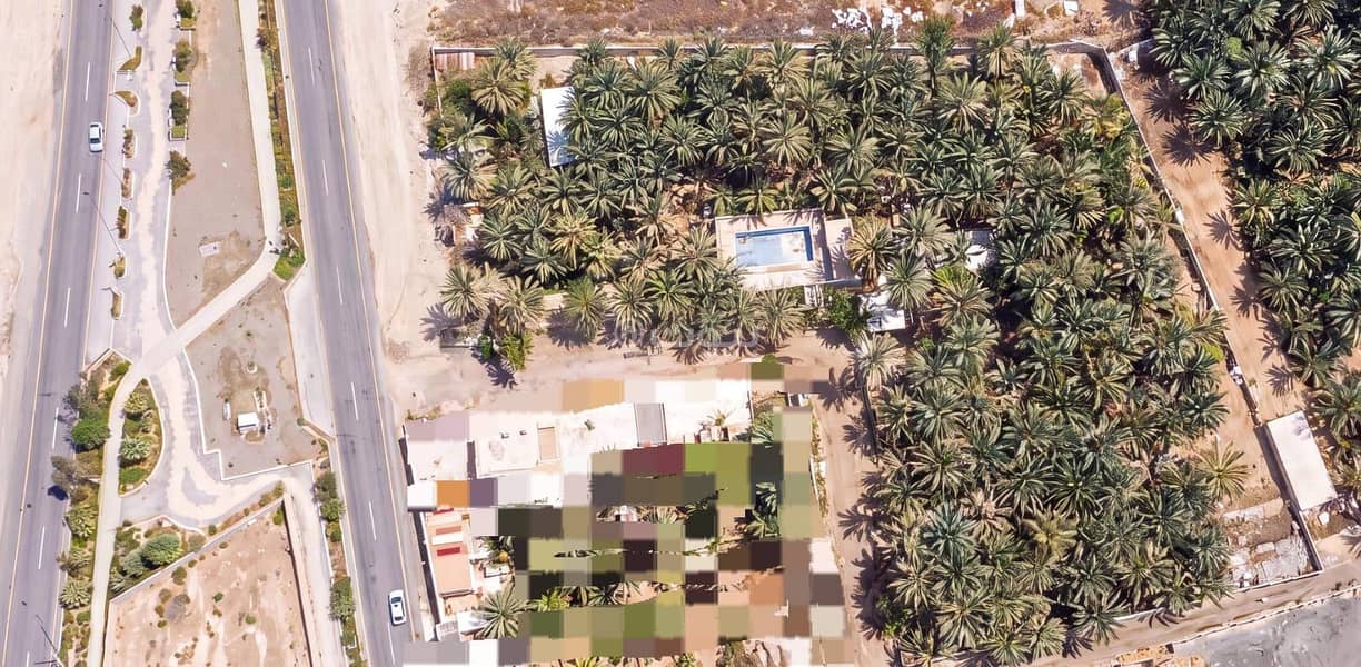 واحة استثمارية مطلّة على جبل أُحد مزرعة نخيل بموقع استراتيجي مرتبط بمنتزه واحة العيون – المدينة المنورة واحة استثمارية مطلّة على جبل أُحد مزرعة نخيل بموقع استراتيجي مرتبط بمنتزه واحة العيون – المدينة المنورة