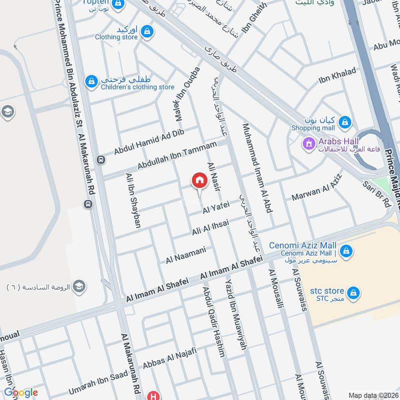 Map image