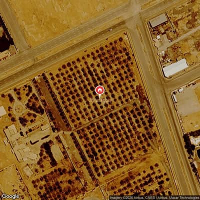 ارض سكنية  للايجار في شرق الرياض، الرياض - أرض سكنية للإيجار في الرمال، الرياض
