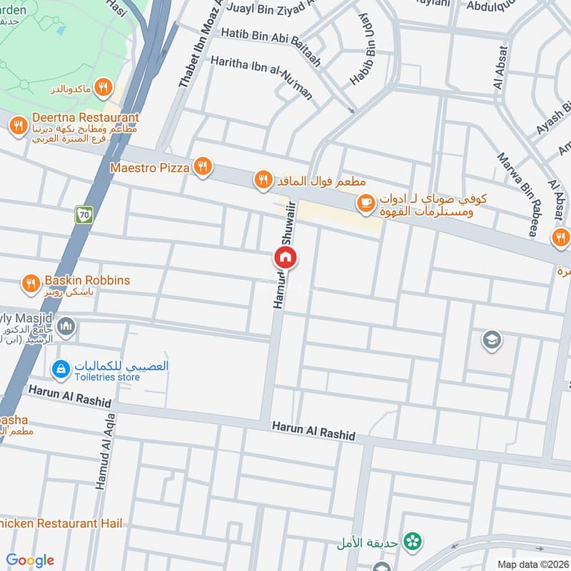 Map image
