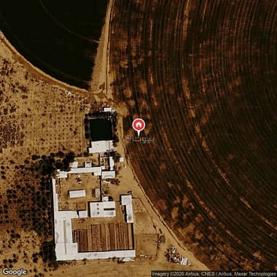 Farm for Sale in Al Khaserah Farms, Baqaa - Farm For Sale in Al Khaserah Farms, Baqaa