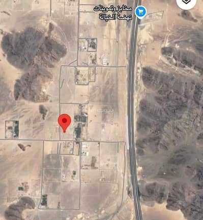 1 Bedroom Farm for Sale in Al Mundasa, Madina - Farm For Sale in Al Mundasa, Madina