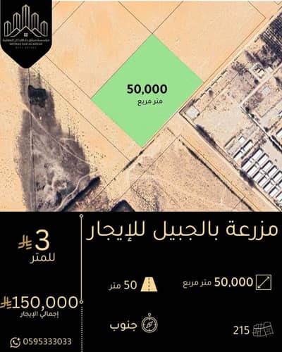 Farm for Rent in Aljubail Industrial - Farm For Rent in Aljubail Industrial Farm for Rent in Aljubail Industrial - Farm For Rent in Aljubail Industrial