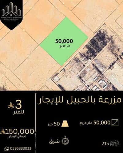 مزرعة للايجار في الجبيل - مزرعة للإيجار في الجبيل مزرعة للايجار في الجبيل - مزرعة للإيجار في الجبيل