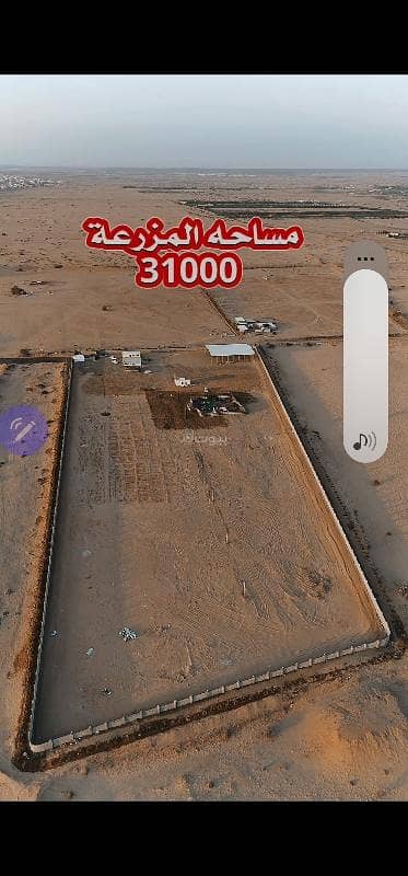 4 Bedroom Farm for Sale in Khulais - A distinguished farm for sale in the Khlis Province