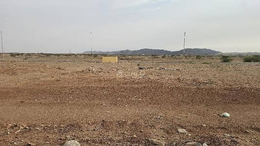 Residential Land for Sale in Al Barqa, Khulais - Land for sale in Al-Kholis Governorate, Al-Nakheel Plan