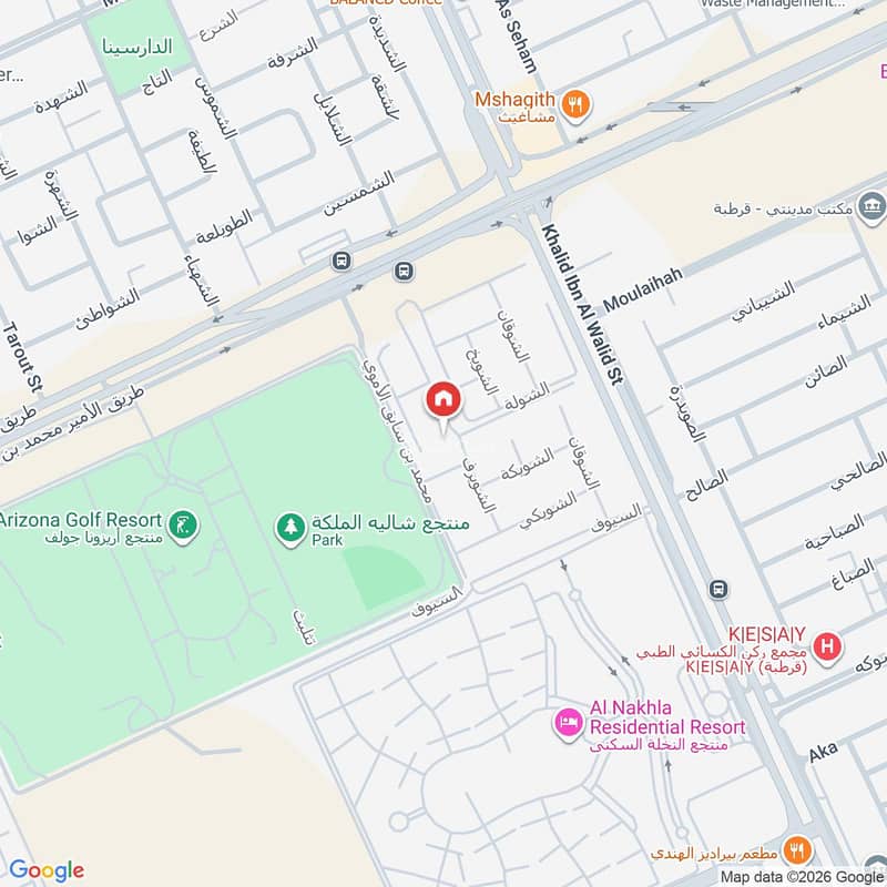 Map image