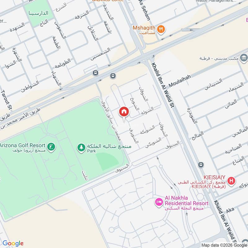 Map image