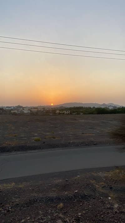 1 Bedroom Farm for Sale in Abu Kabir, Madina - Farm For Sale in Abu Kabir, Madina