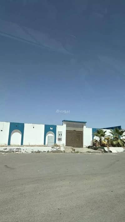 استراحة 2 غرفة نوم للبيع في أبو كبير، المدينة المنورة - استراحة للبيع في أبو كبير، المدينة استراحة 2 غرفة نوم للبيع في أبو كبير، المدينة المنورة - استراحة للبيع في أبو كبير، المدينة