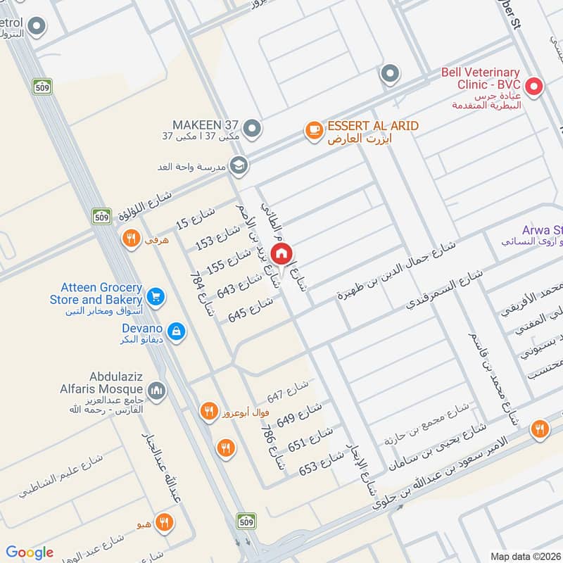 Map image