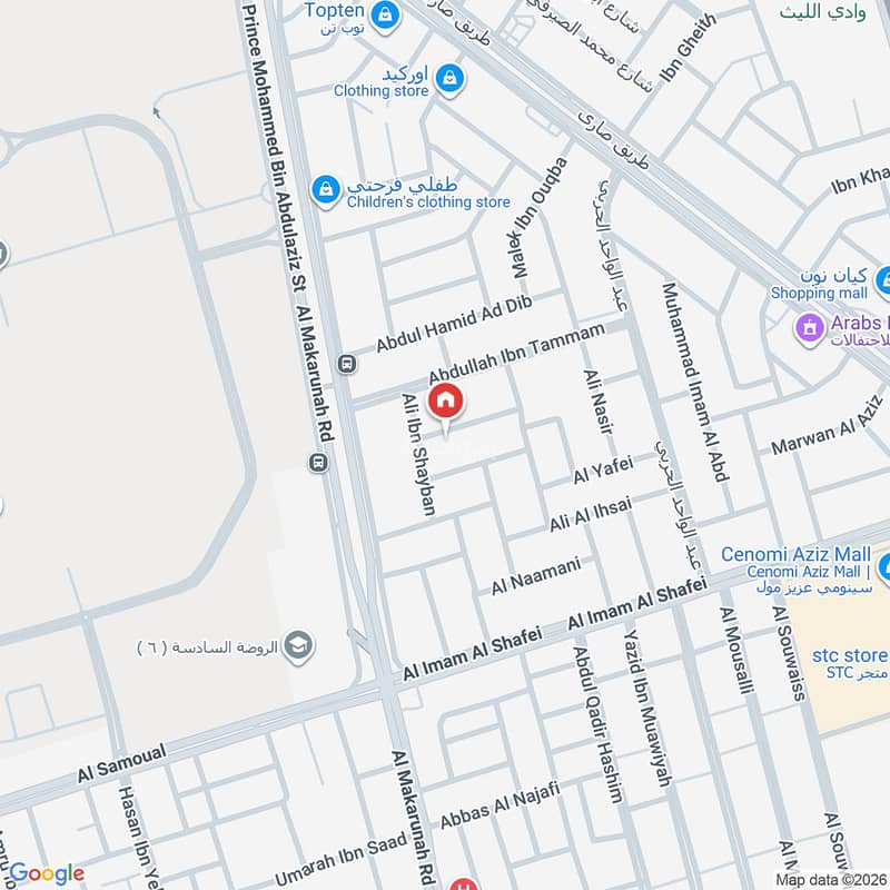 Map image