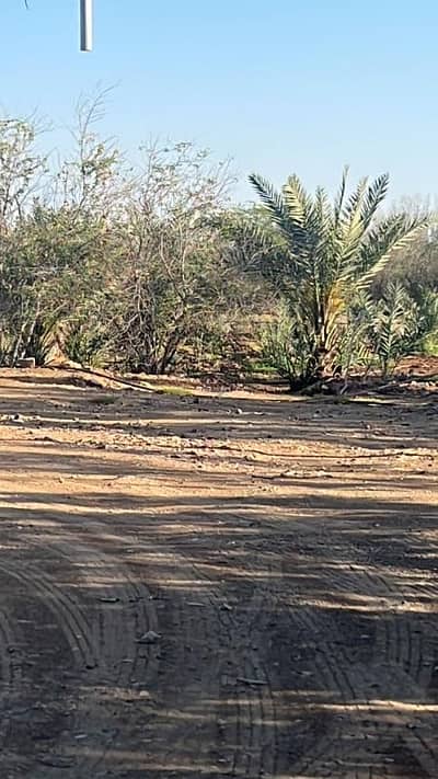 2 Bedroom Farm for Sale in An Nuzhah, Khulais - Farm for sale in the Khashe region (Khalis Governorate) Ghiran, Al-Nuzha district, electronic deed and immediate transfer 2 Bedroom Farm for Sale in An Nuzhah, Khulais - Farm for sale in the Khashe region (Khalis Governorate) Ghiran, Al-Nuzha district, electronic deed and immediate transfer