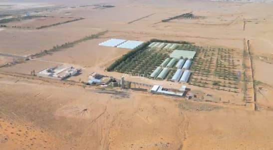 Farm for Sale in Aljamaea Farm, Al Majmaah Riyadh Region - Integrated farm for sale in Al-Majma'ah Governorate Farm for Sale in Aljamaea Farm, Al Majmaah Riyadh Region - Integrated farm for sale in Al-Majma'ah Governorate