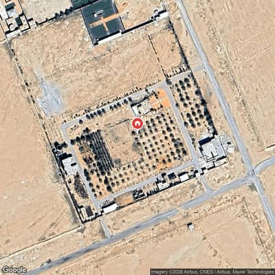 Farm for Rent in Daqalah - Daqla region Farm for Rent in Daqalah - Daqla region