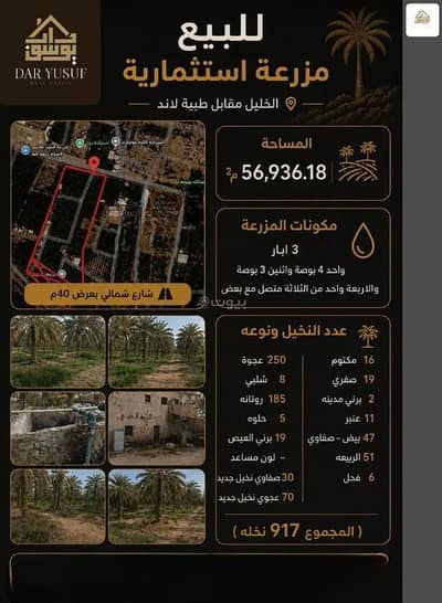 Farm for Sale in Wadi al humd, Madina - Farm For Sale in Wadi al Humd, Madina Farm for Sale in Wadi al humd, Madina - Farm For Sale in Wadi al Humd, Madina