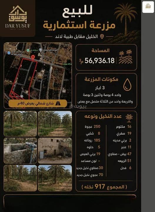 Farm For Sale in Wadi al Humd, Madina Farm For Sale in Wadi al Humd, Madina