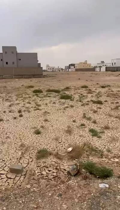 ارض سكنية للبيع في الملك عبدالله، الأفلاج - أرض سكنية للبيع في الملك عبدالله، الأفلاج ارض سكنية للبيع في الملك عبدالله، الأفلاج - أرض سكنية للبيع في الملك عبدالله، الأفلاج