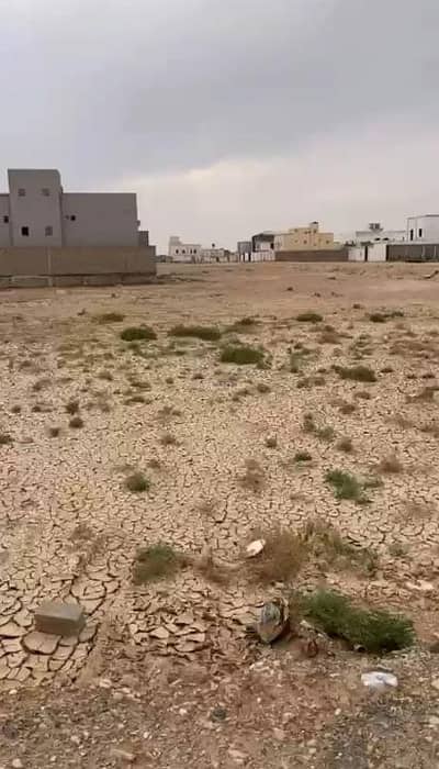 ارض سكنية للبيع في الملك عبدالله، الأفلاج - أرض سكنية للبيع في حي الملك عبدالله، الأفلاج ارض سكنية للبيع في الملك عبدالله، الأفلاج - أرض سكنية للبيع في حي الملك عبدالله، الأفلاج