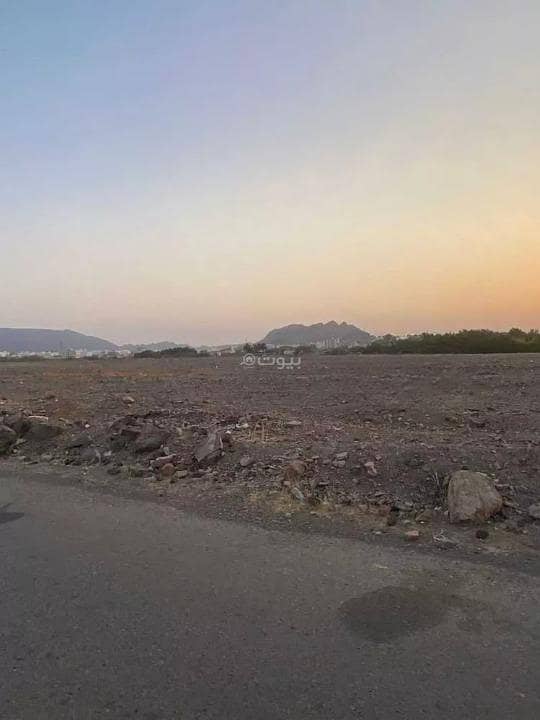 مزرعة للبيع في حي أبو كبير، المدينة المنورة مزرعة للبيع في حي أبو كبير، المدينة المنورة