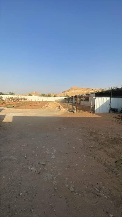 3 Bedroom Rest House for Sale in Qarih Dirab - Farm for sale in Dirab (Al-Wahibiya plan) 3 Bedroom Rest House for Sale in Qarih Dirab - Farm for sale in Dirab (Al-Wahibiya plan)