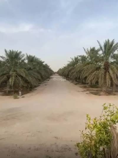1 Bedroom Farm for Sale in Al-Ghwaybah Agricultural Zone 3, Al Ahsa - Farm for sale in Al-Ghwaybah Agricultural Zone 3, Al Ahsa 1 Bedroom Farm for Sale in Al-Ghwaybah Agricultural Zone 3, Al Ahsa - Farm for sale in Al-Ghwaybah Agricultural Zone 3, Al Ahsa