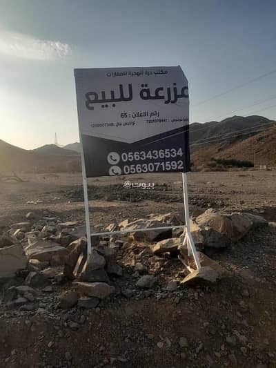 1 Bedroom Farm for Sale in Abu Markha, Madina - Farm For Sale in Abu Markha, Madina 1 Bedroom Farm for Sale in Abu Markha, Madina - Farm For Sale in Abu Markha, Madina