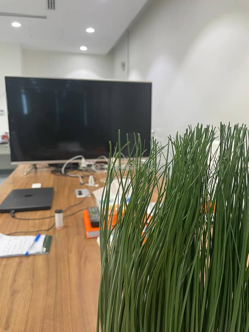 A luxurious kiss office? It seems there is a confusion in the term 'مكتب للتقبيل'. If you meant 'a lukewarm? no. Likely 'مكتب' means 'office' and 'الت A luxurious kiss office? It seems there is a confusion in the term 'مكتب للتقبيل'. If you meant 'a lukewarm? no. Likely 'مكتب' means 'office' and 'الت
