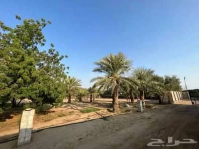 2 Bedroom Farm for Sale in Al Sunaydali - Farm For Sale in Al Sunaydali 2 Bedroom Farm for Sale in Al Sunaydali - Farm For Sale in Al Sunaydali