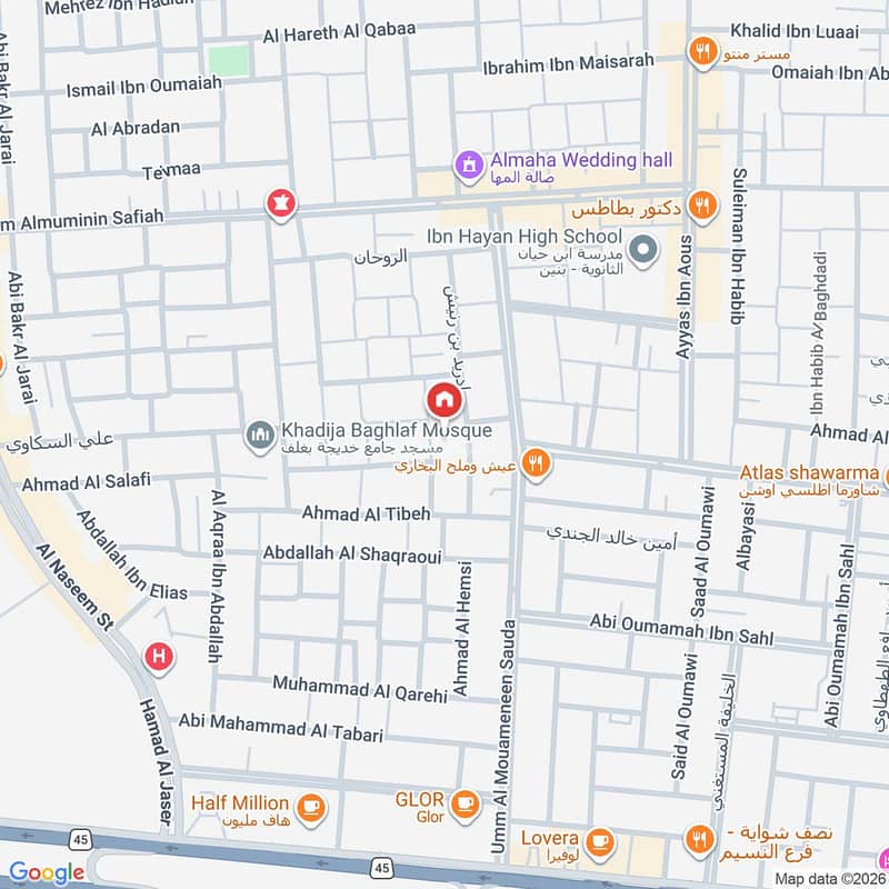 Map image