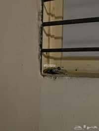 Apartment for Rent in Al Rawabi, Abha Apartment for Rent in Al Rawabi, Abha