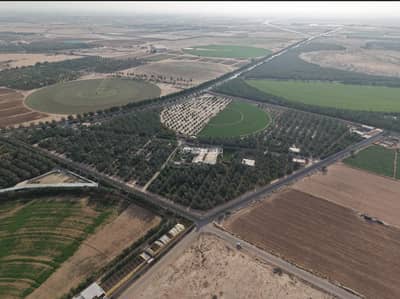 Farm for Sale in Al Hayathem - Code 432 | For sale: a farm in Al-Haytham – Al-Kharj Farm for Sale in Al Hayathem - Code 432 | For sale: a farm in Al-Haytham – Al-Kharj