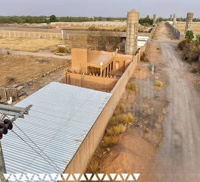 استراحة 3 غرف نوم للبيع في حي الأمل، البكيرية - استراحة للبيع في شارع البكيريه 965, حي الأمل, مدينة البكيرية استراحة 3 غرف نوم للبيع في حي الأمل، البكيرية - استراحة للبيع في شارع البكيريه 965, حي الأمل, مدينة البكيرية