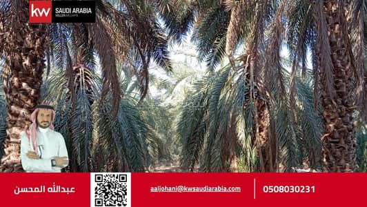 Farm for Sale in Wadi al humd, Madina - Farm for sale in Wadi Al-Hamd district, Medina city, Medina region Farm for Sale in Wadi al humd, Madina - Farm for sale in Wadi Al-Hamd district, Medina city, Medina region