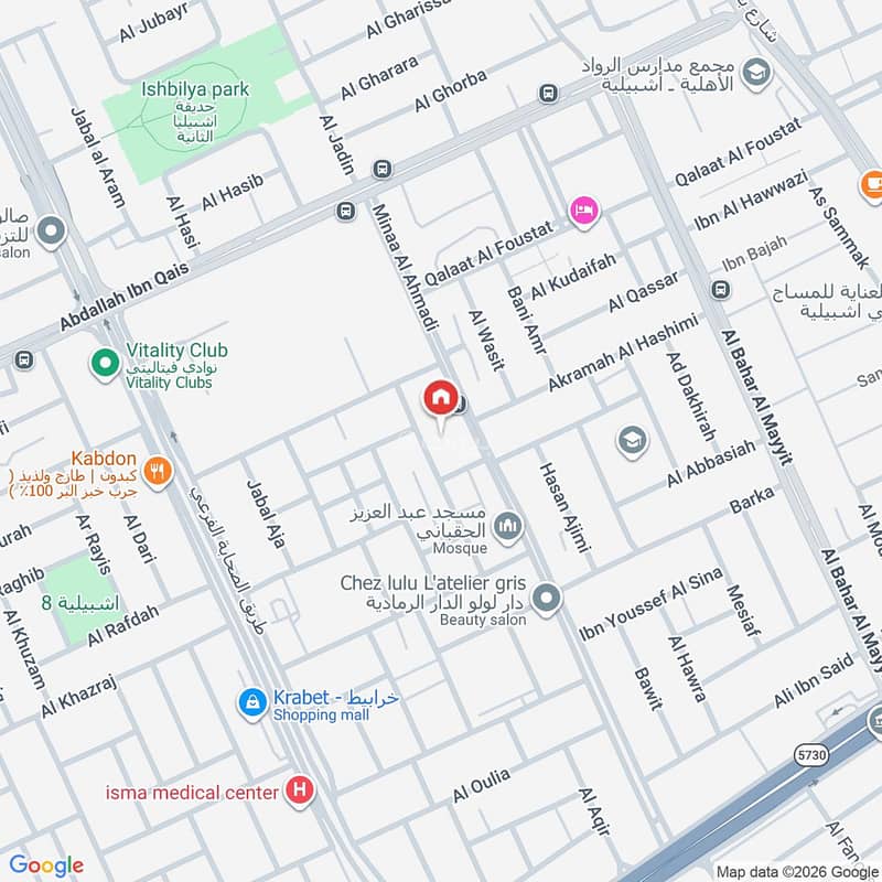 Map image