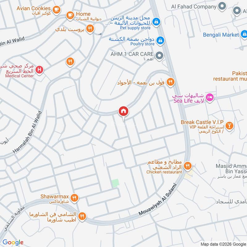 Map image