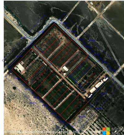 Farm for Rent in Al Jubail - For rent: agricultural slices in Al-Jaima Farm for Rent in Al Jubail - For rent: agricultural slices in Al-Jaima