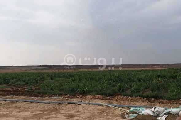 مزرعة للإيجار على طريق المدينة المنورة، وادي بيضان شمال جدة