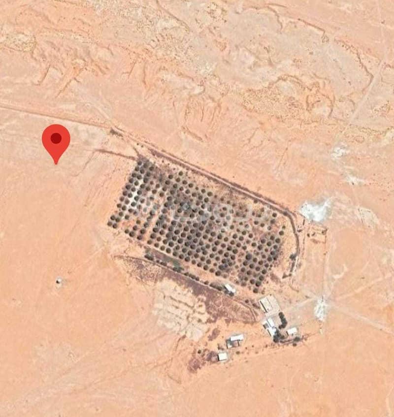 للبيع مزرعة في سدير، الدلم للبيع مزرعة في سدير، الدلم