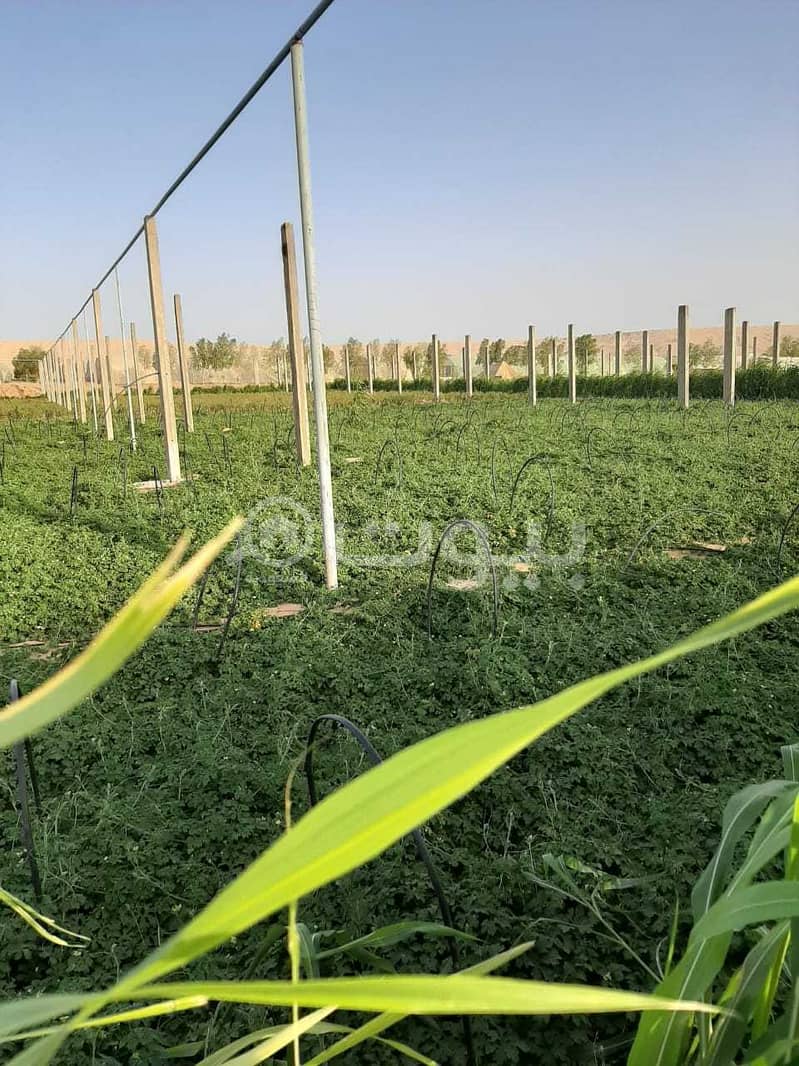 Farm for sale in Almashala, Riyadh