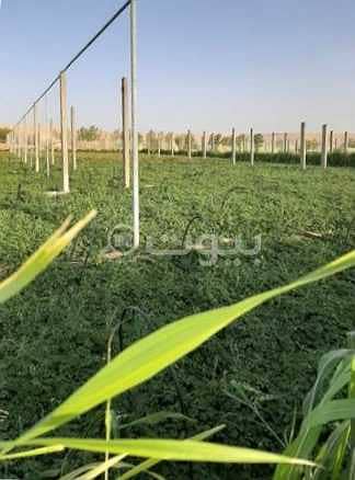 8 Bedroom Farm for Sale in Al Muzahimiyah, Riyadh Region - Spacious Farm For Sale In Al Muzahimiyah, Riyadh