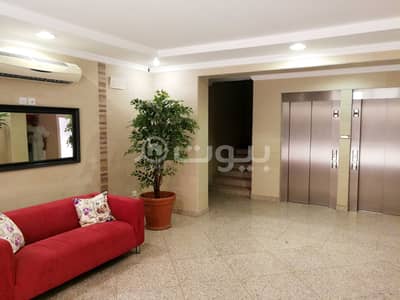 شقة 2 غرفة نوم للايجار في جدة، المنطقة الغربية - شقة فاخرة للايجار بحي الحمراء، وسط جدة