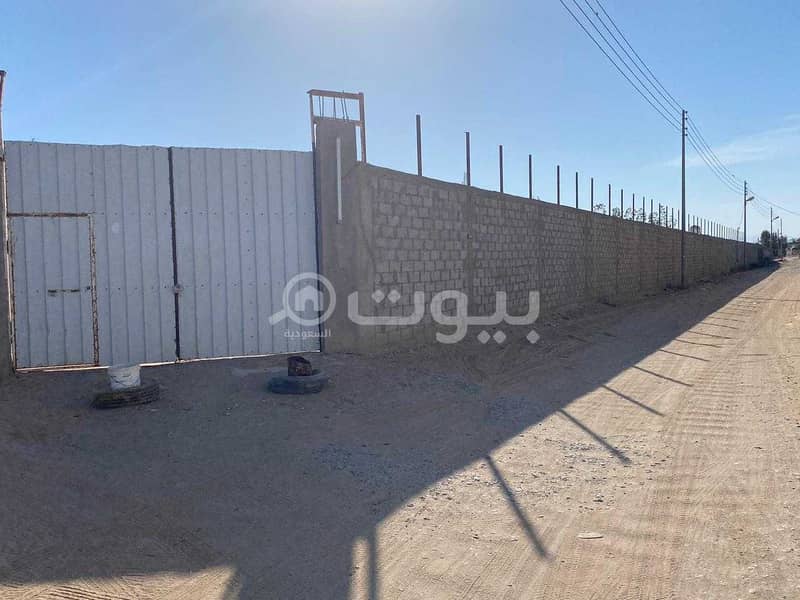 Residential land for sale or for rent in Umluj